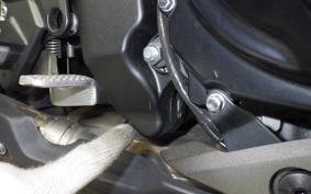 KAWASAKI NINJA 1000 A 2019 ZXT00W