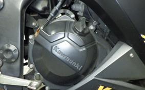 KAWASAKI NINJA 250 EX250L