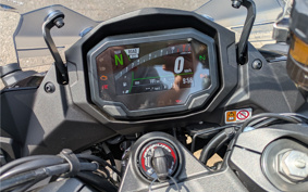 KAWASAKI NINJA 1000 SX 2024 ZXT02K