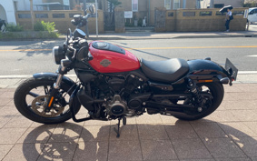HARLEY RH975 NIGHT STAR 2024 ZH1