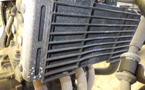 HONDA HORNET 250 MC31