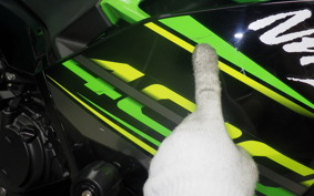 KAWASAKI NINJA 400 2018 EX400G