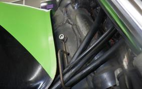 KAWASAKI SUPER SHERPA KL250G