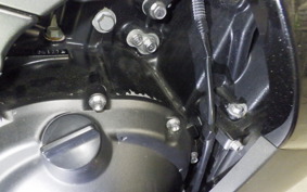 KAWASAKI ZZ1400 NINJA R A 2010 ZXT40D