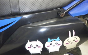 KAWASAKI KLX250D TRACKER X LX250V