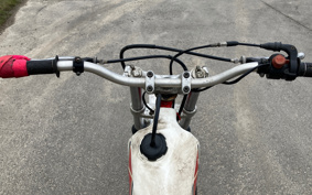 YAMAHA TY250 R 38V