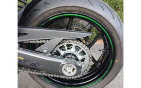 KAWASAKI NINJA 1000 SX 2020 ZXT02K