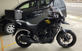 SUZUKI STROM 250 DS11A