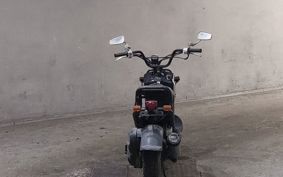 HONDA ZUMAR AF58
