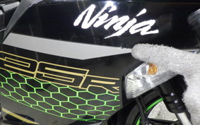 KAWASAKI ZX-25R 2002 ZX250E