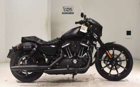 HARLEY XL883N