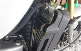 YAMAHA RZ 250 4L3