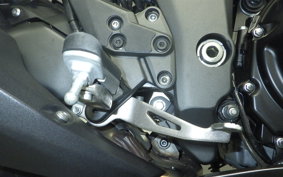 KAWASAKI NINJA 1000SX 2024 ZXT02K