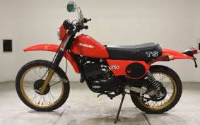 SUZUKI TS250 2009 TS2504