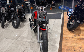 HARLEY FXDL1580 2011 GN4