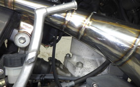 SUZUKI RMX250 S 2024 SJ13A