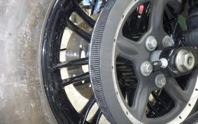 HARLEY XL1200XS 2019