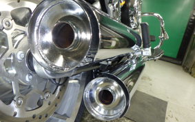 HARLEY FLSTFI1920 2025