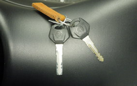 YAMAHA MT-25 A RG74J