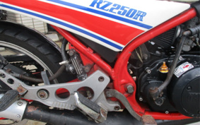 YAMAHA RZ250R 29L