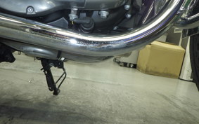 KAWASAKI W800 2019 EJ800A