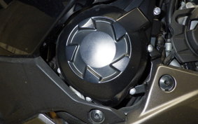 KAWASAKI NINJA 1000SX 2021 ZXT02K