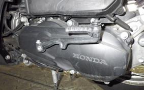 HONDA TACT Basket AF79