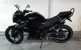 KAWASAKI Z250 ER250C