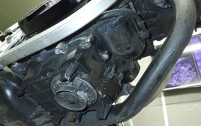 HONDA VT250FE 2001 MC08