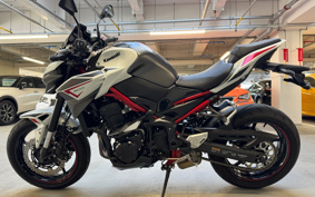 KAWASAKI Z900 2022 ZR900B