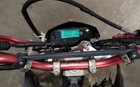 YAMAHA WR250X DG15J