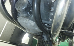 KAWASAKI W800 CAFE 2022 EJ800E