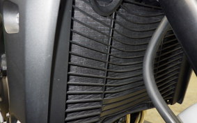 YAMAHA FZ1 FAZER 2013 RN21J