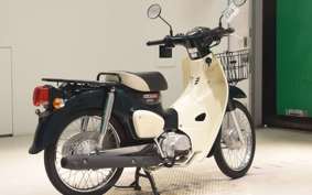 HONDA C50 SUPER CUB 2009 AA09