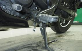 HONDA REBEL 250 2024 MC49