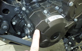 SUZUKI Vｽﾄﾛｰﾑ250SX 1995 EL11L