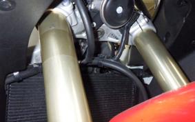 YAMAHA XSR900 GP 2024 RN96J