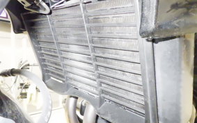 HONDA CB400 SUPER BOLDOR A 2021 NC42