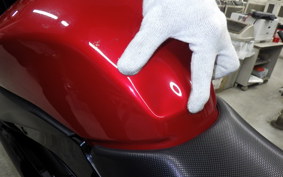 SUZUKI GSX250R 2023