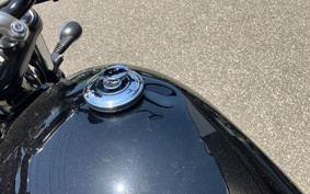 TRIUMPH SPEED TWIN 900 2023 DAD74G