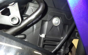 YAMAHA YZF-R25 RG43J