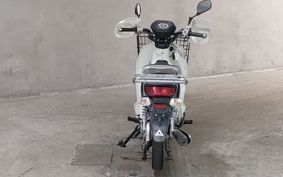 HONDA SUPER CUB110 JA10