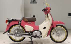 HONDA C50 SUPER CUB 2009 AA09