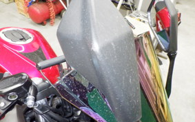 KAWASAKI NINJA 250 2024 EX250P