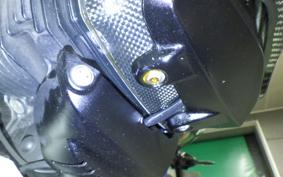 BMW HP2 SPORT 2009