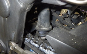 KAWASAKI NINJA 250 ABS EX250L