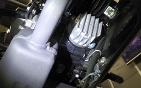 KAWASAKI Z125 PRO BR125H