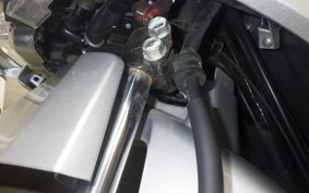 HONDA DIO 110 2019 JF58
