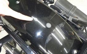 HARLEY XL1200N 2010
