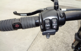 HARLEY  HARLEY FXFBS 2024 YLK